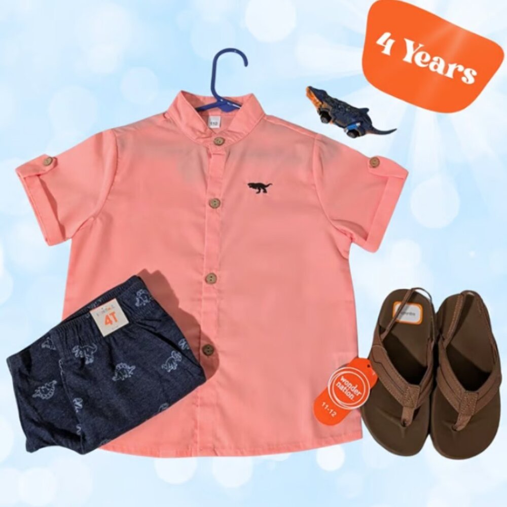 Boys Dinosaur Shirt & Shorts Outfit 4T Summer Set